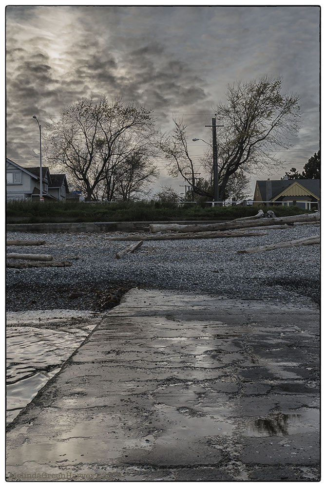 Back to the Drain SMALL